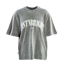 Herren T-Shirt - FASTNBRIGHT - Washed Grey