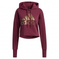 Holiday Graphics Crop Hoodie Women