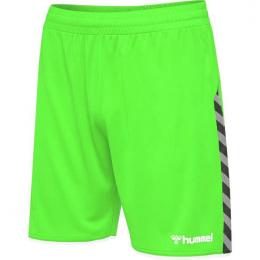     Hummel AUTHENTIC POLY SHORTS GREEN GECKO 204924-6750 Gr. 2XL
  