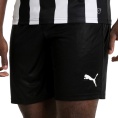 Liga Shorts Core