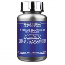 MHD 02/2024 Scitec Nutrition Mega Glutamine 90 Kapseln