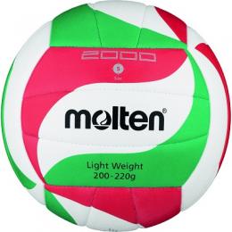 Molten Volleyball 