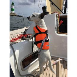 Navyline Hundeweste M
