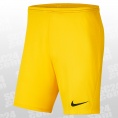 Nike Park III Knit Short NB gelb Größe M