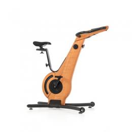 Nohrd Indoor Bike, Kirsche