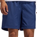 Own The Run Shorts