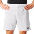 Parma 16 Short