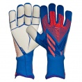 Predator Pro Gloves