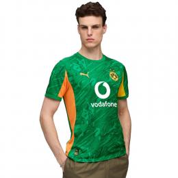     Puma BVB Torwarttrikot 25/26 946434
  