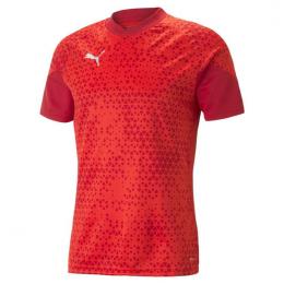     Puma teamCUP Training T-Shirt 657984
  