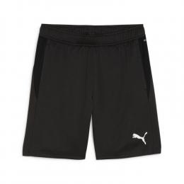     Puma teamGOAL Training Shorts
  