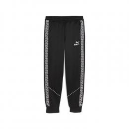     Puma TeamKING Anthem Trainingshose 660535
  
