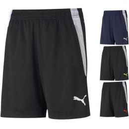     Puma teamLIGA Training Shorts Kinder 657250
  