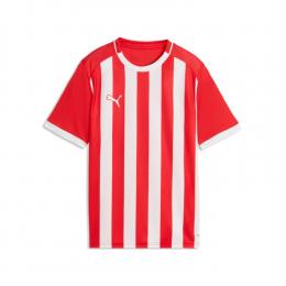     Puma teamLIGA26 Striped Trikot Kinder
  