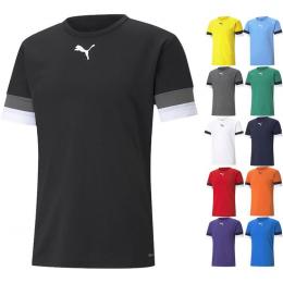     Puma teamRISE Trikot 704932
  