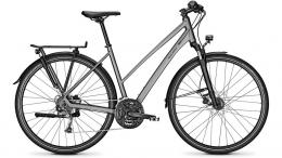 Raleigh Rushhour 1.0 Trapez JETGREY MATT Angebot kostenlos vergleichen bei topsport24.com.