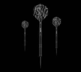 Red Dragon Peter Wright Snakebite Black Mamba Steeldarts Angebot kostenlos vergleichen bei topsport24.com.
