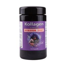 Robert Franz Kollagen 150 Kapseln 1200mg