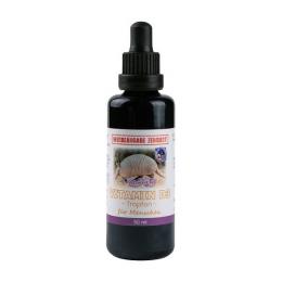 Robert Franz Vitamin D3 Tropfen - 50ml - 1000 I.E.