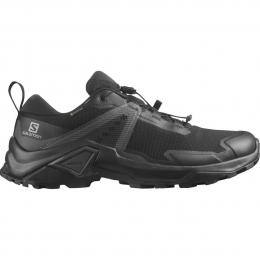 Salomon X Raise 2 GTX