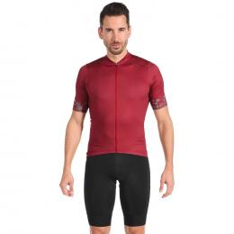 Set (Radtrikot + Radhose) LÖFFLER Terra Hotbond Set (2 Teile), für Herren