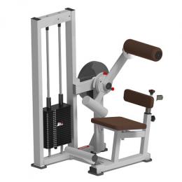 Sport-Thieme Bauch-/Rücken-Maschine 