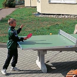 Sport-Thieme Ersatz-Tischtennis-Plattenhälfte 