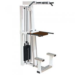 Sport-Thieme Klimmzug- und Dipstation 