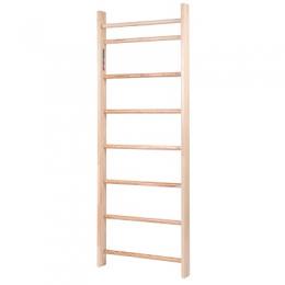 Sport-Thieme Sprossenwand 