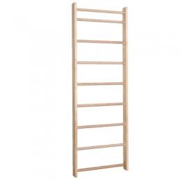 Sport-Thieme Sprossenwand 