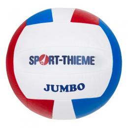 Sport-Thieme Volleyball 