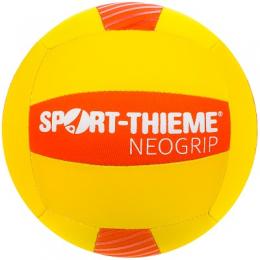 Sport-Thieme Volleyball 