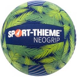 Sport-Thieme Volleyball 