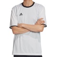 Tango Reversible Jersey