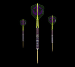 Target Luke Littler World Champion 2025 Edition Steeldarts - 23g