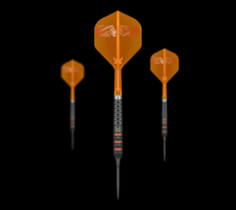 Target Raymond Van Barneveld 95K Swiss Points Steeldarts