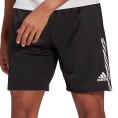 Tiro 21 Training Shorts