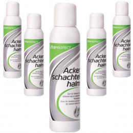 UltraSports ultraPROTECT Ackerschachtelhalm Nährkonzentrat 5x100ml