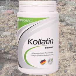 UltraSPORTS ultraPROTECT Kollatin Dose mit 380g