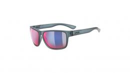 Uvex lgl 36 colorvision GREY ONE SIZE