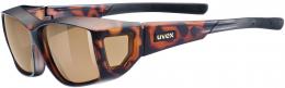 uvex Sportbrille Ultra Spec L (6616 havanna, litemirror brown)