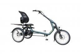 Vanraam Easy Rider HT E-Dreirad (Modell 1)