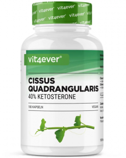 Vit4ever Cissus Quadrangularis, 180 Kapsel