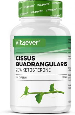 Vit4ever Cissus Quadrangularis, 180 Kapseln