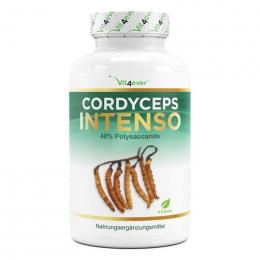 Vit4ever Cordyceps Intenso 180 Kapseln