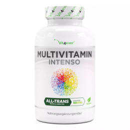 Vit4ever Premium Multivitamin Intenso, 365 Kapseln