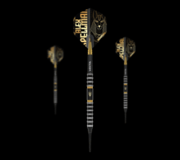Winmau Alex Spellman Softdarts - 20g