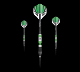 Winmau Daryl Gurney Special Edition  Steeldarts