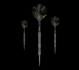 Winmau Michael Van Gerwen Signature Edition Steeldarts Angebot kostenlos vergleichen bei topsport24.com.