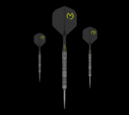 Winmau Michael van Gerwen Signature Edition Switch Points Steeldarts